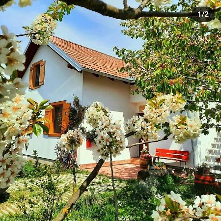 Hotel Kuca Za Odmor "Dva Srca" Ceminac Exterior foto