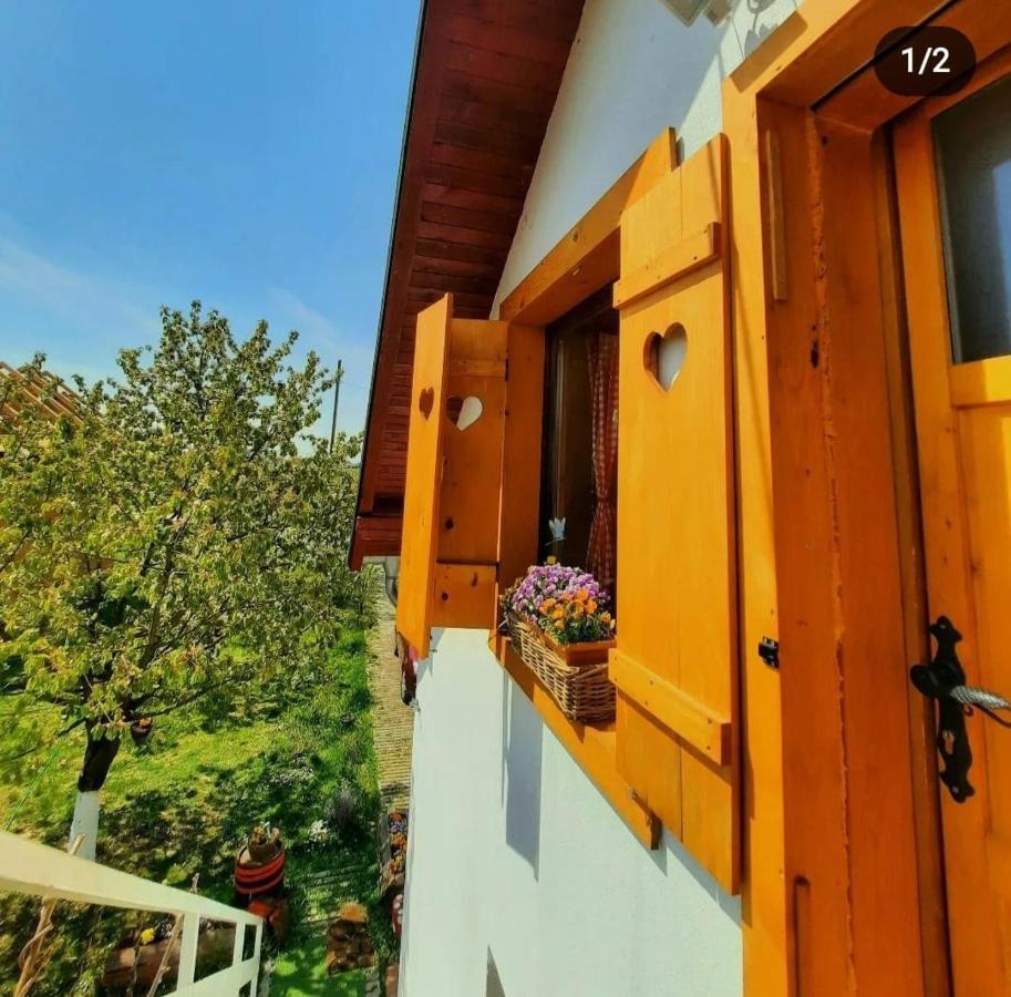 Hotel Kuca Za Odmor "Dva Srca" Ceminac Exterior foto