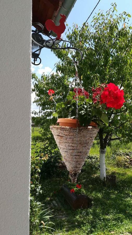 Hotel Kuca Za Odmor "Dva Srca" Ceminac Exterior foto