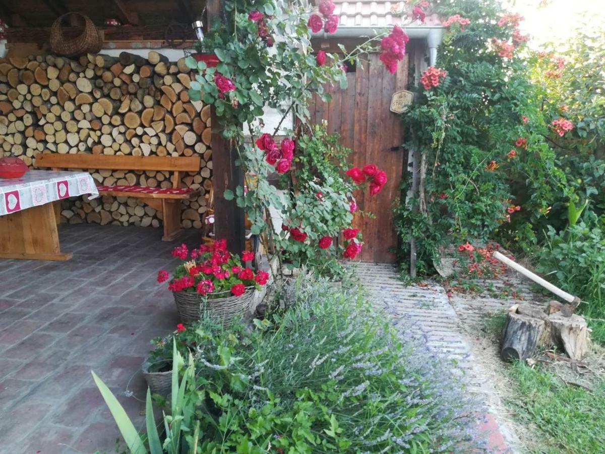 Hotel Kuca Za Odmor "Dva Srca" Ceminac Exterior foto